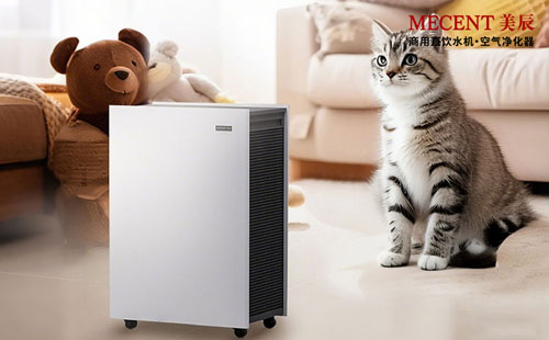 寵物家庭除味攻略：活性炭濾網(wǎng)真的能搞定寵物異味嗎？